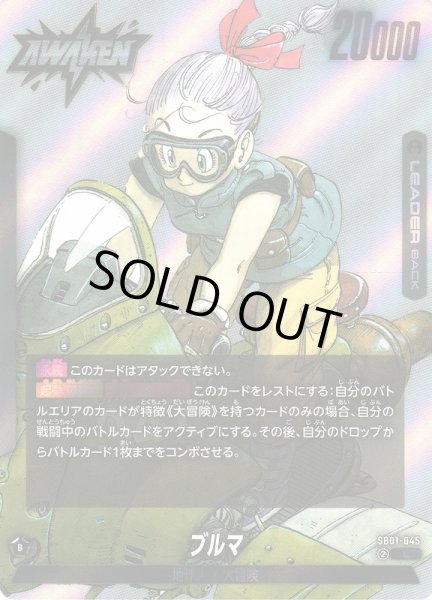 画像1: 【DBFW】ブルマ【L】SB01-045 (1)