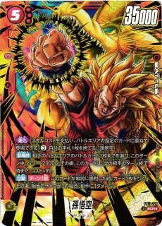 DBFW】ベジット【SCR】FB10-121 - C-labo OnlineShop