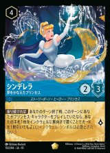 WILDS UNKNOWN 未知なる彼方へ！ディズニー・ロルカナ・TCG通販なら