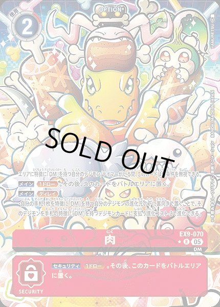 画像1: 【DIG】肉【R/★】EX9-070〈05〉 (1)