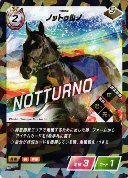 画像1: 【競馬】ノットゥルノ【R】FHS-063 (1)