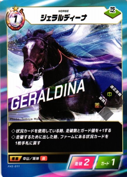 画像1: 【競馬】ジェラルディーナ【N】FHS-011 (1)