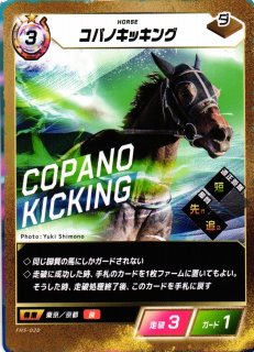 WS】“飛天御剣流”の使い手 緋村剣心【R】RKN/S115-050ヴァイス