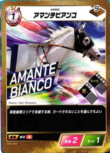 画像1: 【競馬】アマンテビアンコ【N】FHS-030 (1)