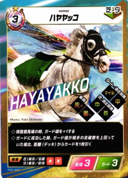 画像1: 【競馬】ハヤヤッコ【N】FHS-041 (1)