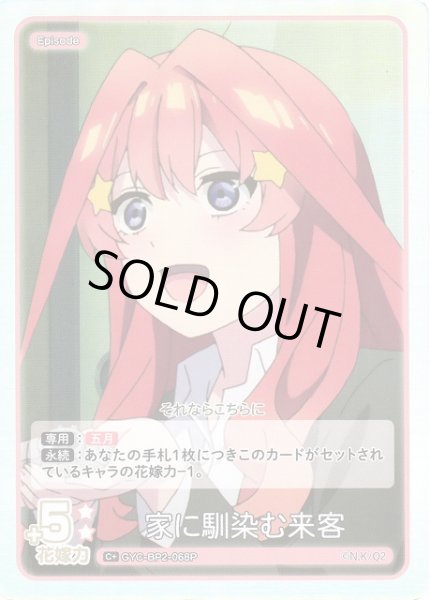 画像1: 【五等分】家に馴染む来客【C＋】GYC-BP2-068P (1)