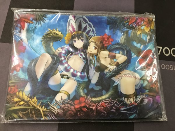 画像1: 《特価品》【サプライ】ロード オブ ヴァーミリオンRe:2 慟哭 リミテッドミニカードファイル サマーバカンス (海種) (1)