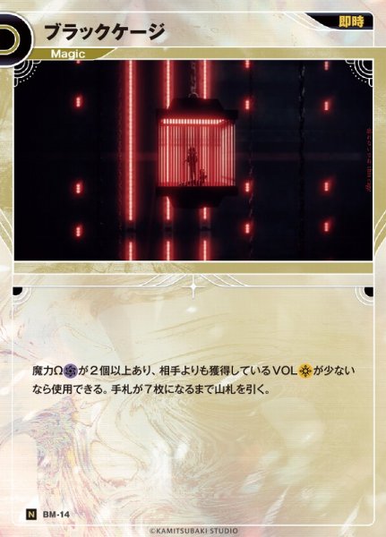 画像1: 【神椿】ブラックケージ【N】BM-14 (1)