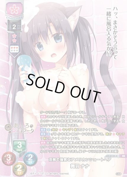 画像1: 【LO】活発で強気なアメリカンショートヘア 舞羽 ナナ【KR】LO-6135-K (1)