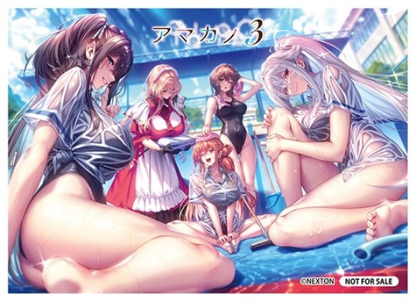 画像1: 【LO】[スリーブ(PR付)]Lycee Overture『ネクストン4.0  アマカノ3』スリーブ21枚入り (1)