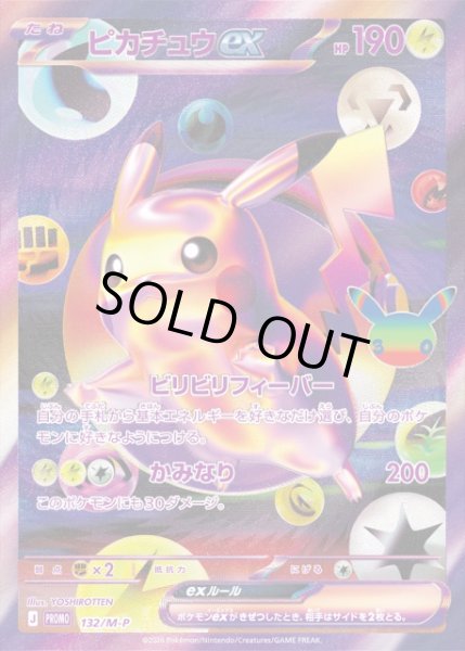 画像1: 《未開封》【ポケカ】ピカチュウex(FUR仕様)【-】PROMO 132/M-P (1)