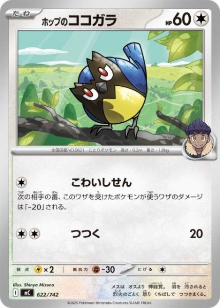 画像1: 【ポケカ】ホップのココガラ【-】MC 622/742 (1)