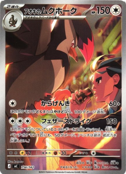 画像1: 【ポケカ】アオキのムクホーク(AR仕様)【-】MC 756/742 (1)