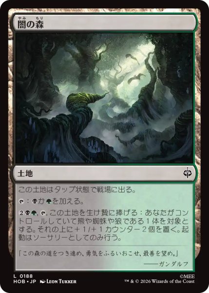 画像1: 【MtG】闇の森【L】HOB-0188[FOIL] (1)