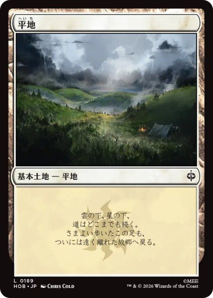 画像1: 【MLG】平地【L】HOB-0189[FOIL] (1)