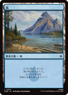 MtG】アーケン石【M】HOB-0247[ブックカバー・カード][FOIL] - C-labo