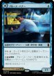 画像1: 【MtG】ブルース・バナー / インクレディブル・ハルク【M】MSH-0049 (1)