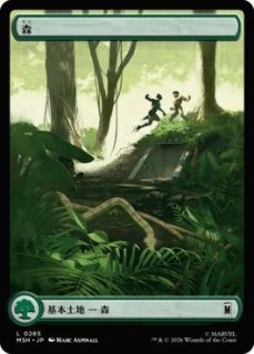 MtG】森の知恵【M】SPG-0155マジック：ザ・ギャザリング MTG - 通販は