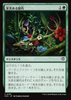 MtG】均衡を保つもの、ウィザーブルーム【M】SOS-0245[FOIL]マジック