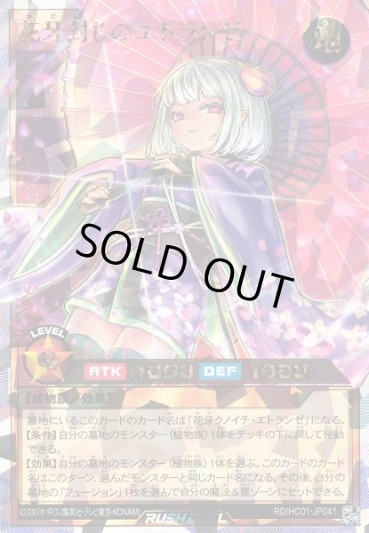 遊戯RD】花牙封じのエトランゼ【オーバーラッシュレア/効果】RD 遊戯RD】花牙封じのエトランゼ【オーバーラッシュレア/効果】RD