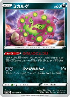 WS】ある冬の日 湊あくあ【TD】HOL/W91-T047ヴァイス WS】ある冬の日 湊あくあ【TD】HOL/W91-T047ヴァイス