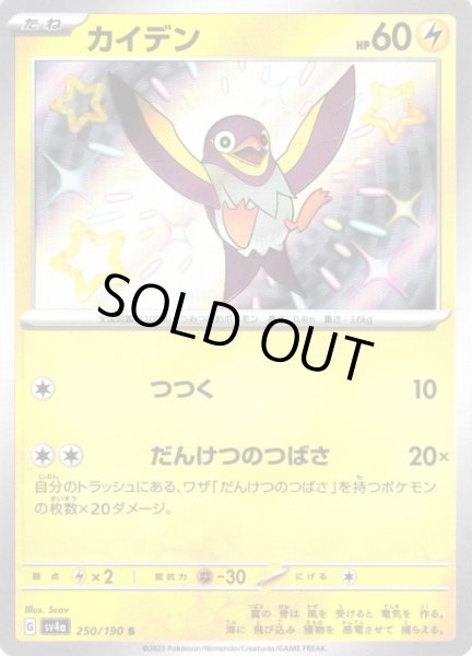 画像1: 【ポケカ】※プレイ用特価品※カイデン【S】SV4A 250/190 (1)