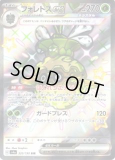 ポケカ]SSR/S（色違い）通販ならカードラボ！品揃えも豊富で安い！実
