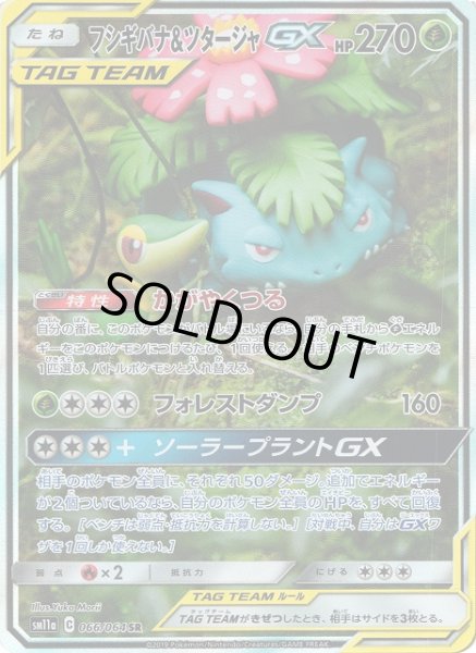画像1: 【ポケカ】フシギバナ＆ツタージャGX(SA)【SR】SM11A-066 (1)