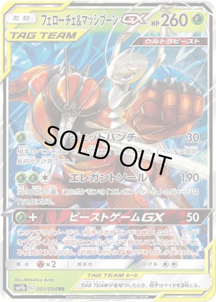 画像1: 【ポケカ】フェローチェ＆マッシブーンGX【RR】SM9B-001 (1)
