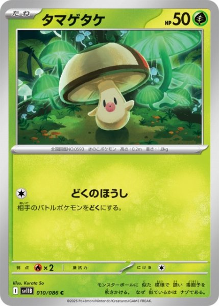 画像1: 【ポケカ】タマゲタケ【C】SV11B 010/086 (1)