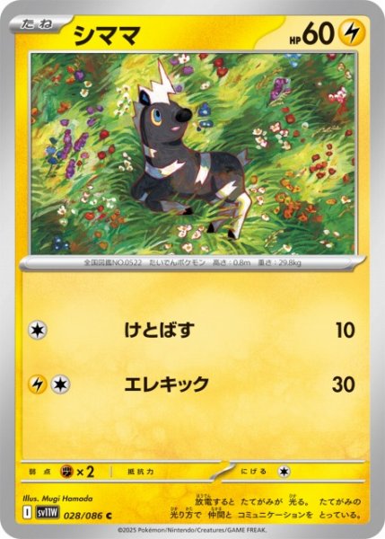 画像1: 【ポケカ】シママ【C】SV11W 028/086 (1)
