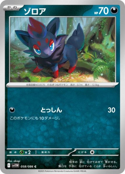画像1: 【ポケカ】ゾロア【C】SV11W 058/086 (1)