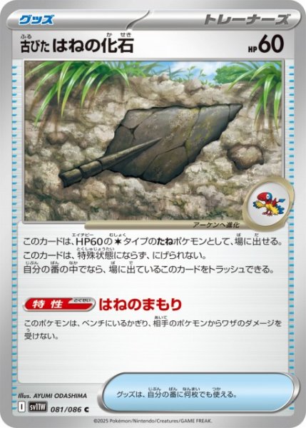 画像1: 【ポケカ】古びたはねの化石【C】SV11W 081/086 (1)
