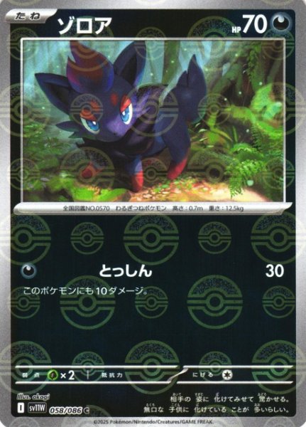 画像1: 【ポケカ】ゾロア【ミラー/モンスターボール柄】SV11W 058/086 (1)