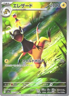 ポケカ】バクガメス【AR】SV7 105/102ポケモンカードゲーム