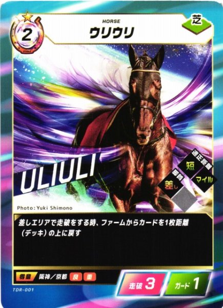 画像1: 【競馬】ウリウリ【N】TDR-001 (1)