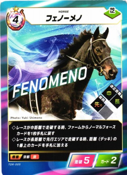 画像1: 【競馬】フェノーメノ【N】TDR-005 (1)