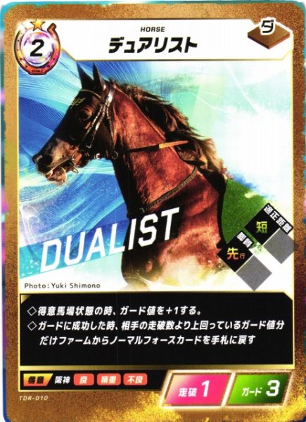画像1: 【競馬】デュアリスト【N】TDR-010 (1)