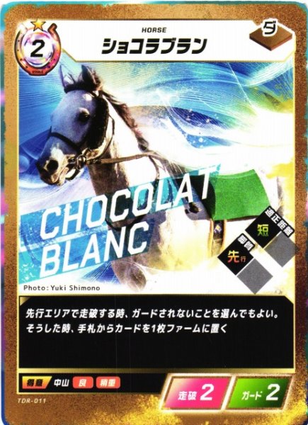 画像1: 【競馬】ショコラブラン【N】TDR-011 (1)