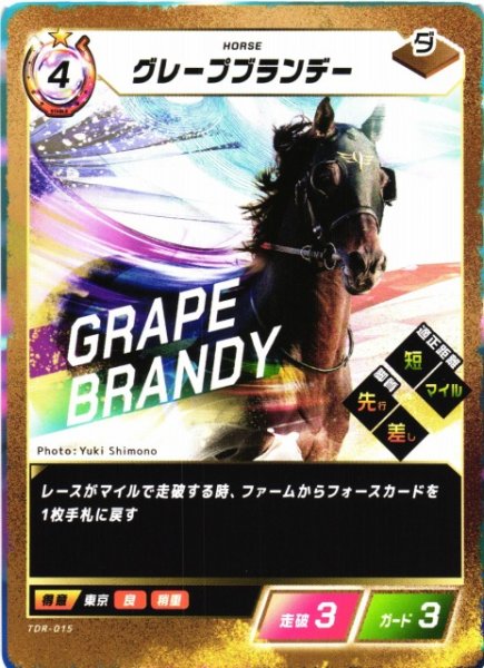 画像1: 【競馬】グレープブランデー【N】TDR-015 (1)
