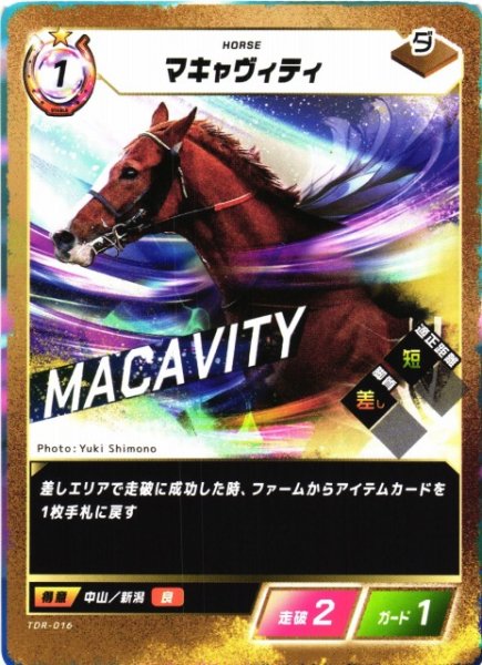 画像1: 【競馬】マキャヴィティ【N】TDR-016 (1)