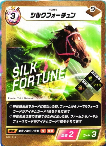 画像1: 【競馬】シルクフォーチュン【N】TDR-018 (1)
