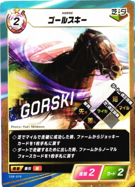画像1: 【競馬】ゴールスキー【N】TDR-019 (1)