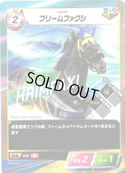 画像1: 【競馬】フリームファクシ【N】TDR-020 (1)