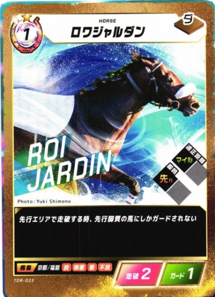 画像1: 【競馬】ロワジャルダン【N】TDR-023 (1)