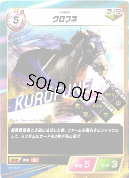 画像1: 【競馬】クロフネ【N】TDR-029 (1)