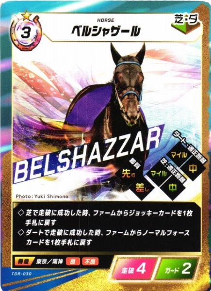 画像1: 【競馬】ベルシャザール【N】TDR-030 (1)