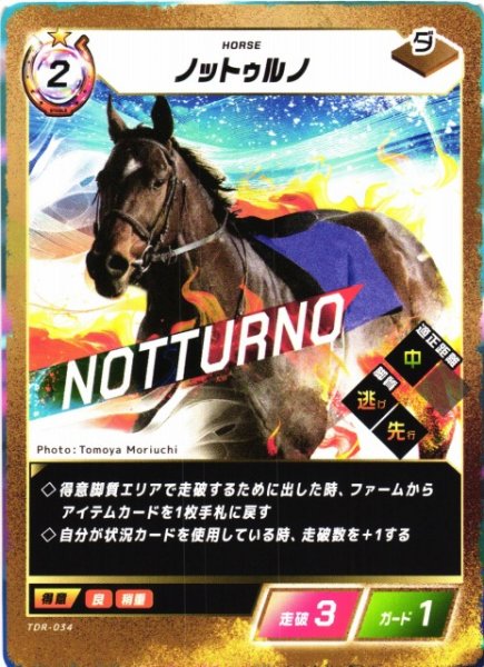 画像1: 【競馬】ノットゥルノ【N】TDR-034 (1)