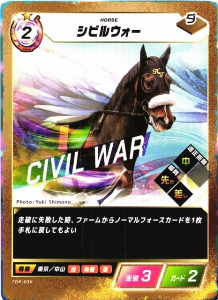 画像1: 【競馬】シビルウォー【N】TDR-036 (1)