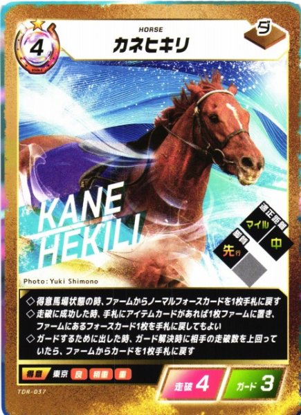 画像1: 【競馬】カネヒキリ【N】TDR-037 (1)